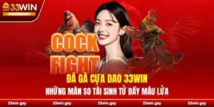 Đá gà cựa dao 33WIN - Những màn so tài sinh tử đầy máu lửa